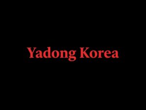 국산야동