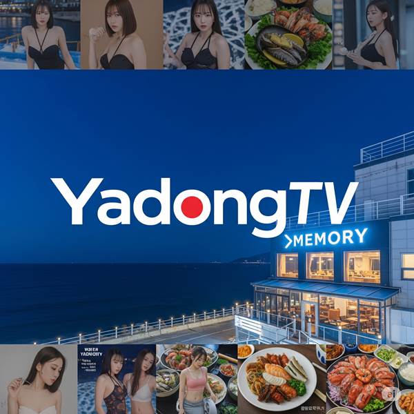 야동티비